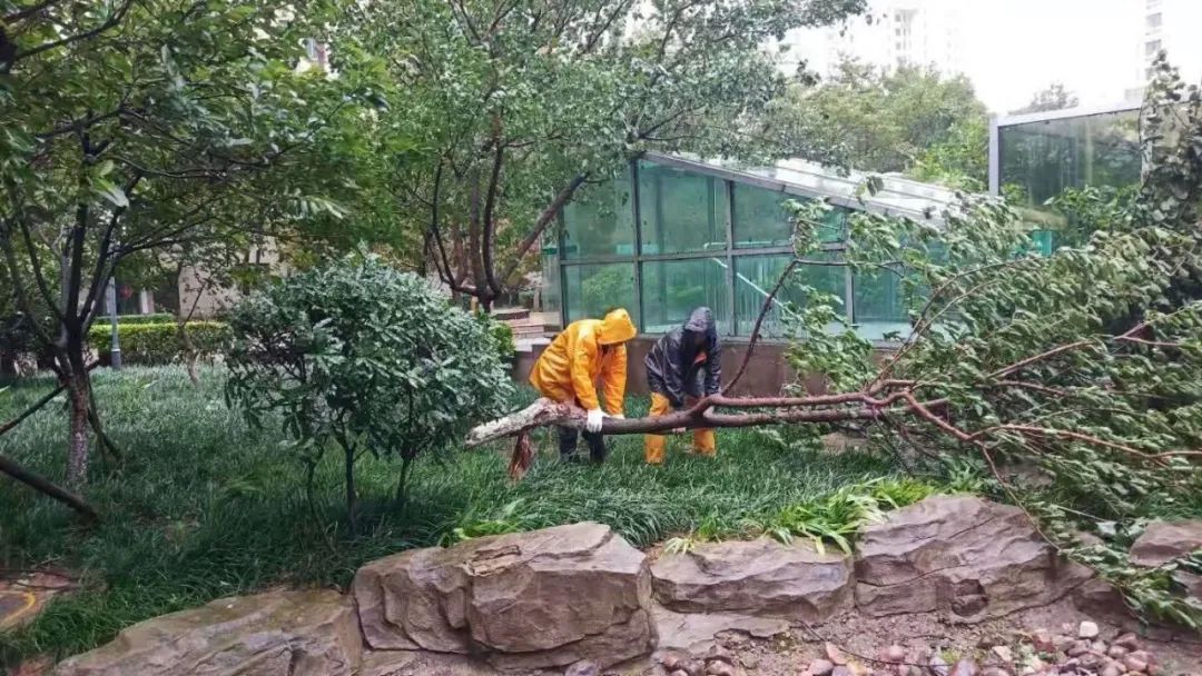 风雨中的坚守丨智慧物业事业部迎战台风“烟花”